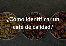 ¿Cómo identificar un café de calidad?